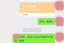 东台为什么选择专业追讨公司来处理您的债务纠纷？